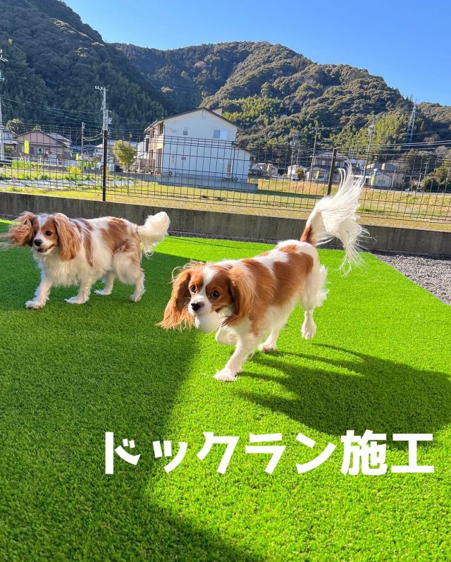-————施工事例❇︎—

ドックラン施工のご紹介です💁‍♀️

ふく君、ももちゃんが遊べるプライベートドッグランを
施工させていただきました🐾
掃き出し窓にはステップを施工し、
ワンちゃんが安全に出入りできます☺️
隣地境界には、目隠しフェンスを設置し
プライベート空間で、ご家族とワンちゃんが
安心して遊べるドックランになりました🐕♪

ふく君、ももちゃんの喜ぶ姿が見られて
本当に嬉しく思います✨🥹

この度はご依頼いただき、ありがとうございました😊

—❇︎株式会社中村建設❇︎-———————

#藤枝 #焼津 #島田 #静岡 #牧之原 #吉田
#静岡中部 地区を中心に対応しております
#中村建設 #外構工事 #エクステリア #フェンス工事
#エクステリアデザイン #外構デザイン#おしゃれ外構
#新築外構 #リフォーム外構 #リガーデン#ドッグラン
#エクステリア施工例 #いぬのいる暮らし #犬のための家づくり #犬のためにできること