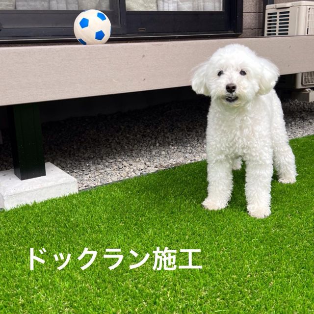 -————施工事例❇︎—

ドックラン施工のご紹介です💁‍♀️

ノエルちゃんが遊べるようにプライベートドッグランの
施工をさせていただきました🐾
たくさんあった植木🌲を撤去し、大きなデッキと
ワンちゃんの足も洗える立水栓の取付けをしました☺️

広々空間で、ご家族とノエルちゃんが安心して遊べる
ドックランになりました🐕♪

お家に入りたがらないほど気に入ってくれたようで…💓
ノエルちゃんが喜ぶ姿が見られて嬉しく思います✨🥹

この度はご依頼いただき、ありがとうございました😊

—❇︎株式会社中村建設❇︎-———————

#藤枝 #焼津 #島田 #静岡 #牧之原 #吉田
#静岡中部 地区を中心に対応しております
#中村建設 #外構工事 #エクステリア #フェンス工事
#エクステリアデザイン #外構デザイン#おしゃれ外構
#新築外構 #リフォーム外構 #リガーデン#ドッグラン
#エクステリア施工例