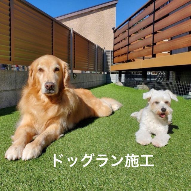-————施工事例❇︎—

ドックラン施工のご紹介です💁‍♀️

既存デッキにフェンスと門扉を取りつけ、
テラスを設置しました☝️
お家から続くデッキは、ワンちゃんたちが飛び出す事なく
くつろぎ空間に☕️🌿
屋根があるので雨の日でも安心です☔️

とーっても可愛い💓はなちゃん、あんちゃん
の喜ぶ姿が見れて嬉しかったです☺️

この度はご依頼いただき、ありがとうございました🐾

—❇︎株式会社中村建設❇︎-———————

#藤枝 #焼津 #島田 #静岡 #牧之原 #吉田
#静岡中部 地区を中心に対応しております
#中村建設 #外構工事 #エクステリア #フェンス工事
#エクステリアデザイン #外構デザイン#おしゃれ外構
#新築外構 #リフォーム外構 #リガーデン#ドッグラン
#エクステリア施工例#テラス
